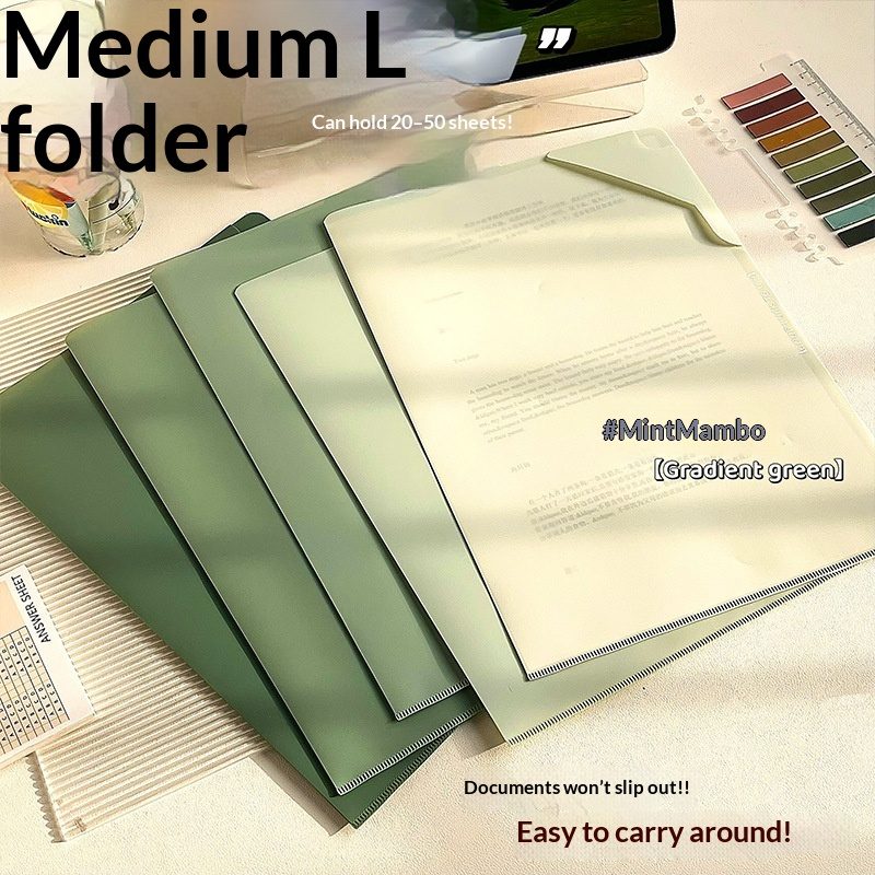 A4 Clear-View Folder