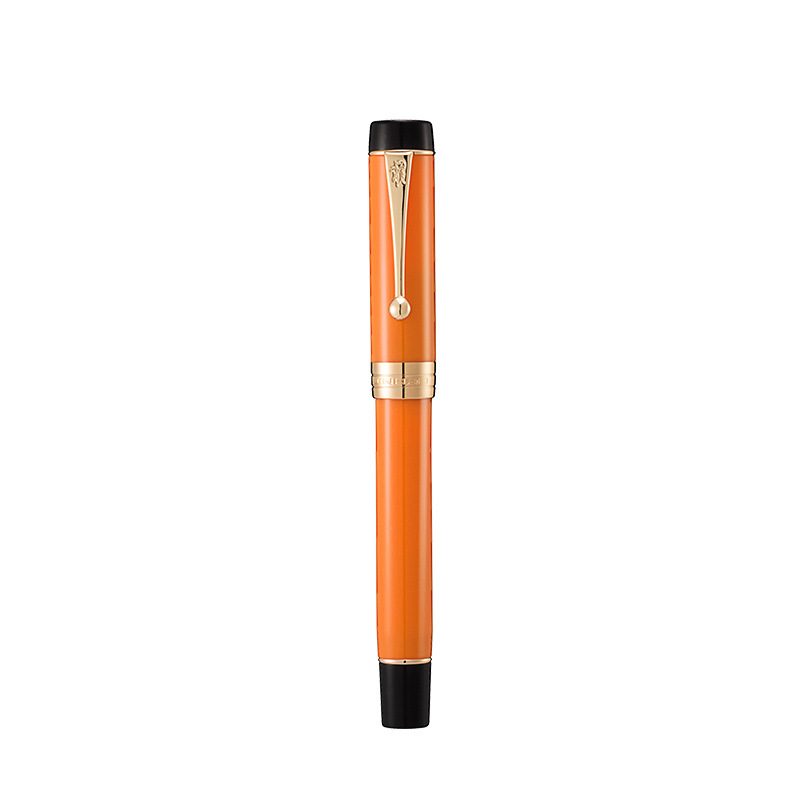 Classic Iridium Fountain Pen